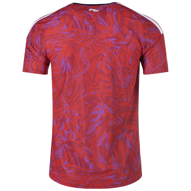 Costa Rica 26/27 Authentic Home Jersey — view 3